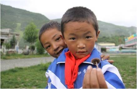 �ɂ�(g��)�W(xu��)���������(f��)����W(xu��)��֧���(du��)�T�����_(d��)�Ѻ����f��һֻСĢ�����挦(du��)�㌍(sh��)�ĺ��ӂ���֧���(du��)�T������ϣ���ǡ��������҂�������҂��������S��(sh��)����