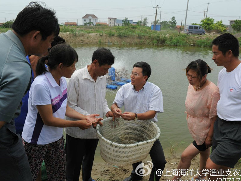 7��28�����Ϻ������W���O�I(y��)�Ƽ�֧�r(n��ng)�����ՈF����|�h�Lɳ�(zh��n)���}���M�пƼ�֧�r(n��ng)�������D��F꠼��g(sh��)ָ��犲�ʿ�����B(y��ng)ֳ���v���~ƌW�B(y��ng)ֳ�ķ�����