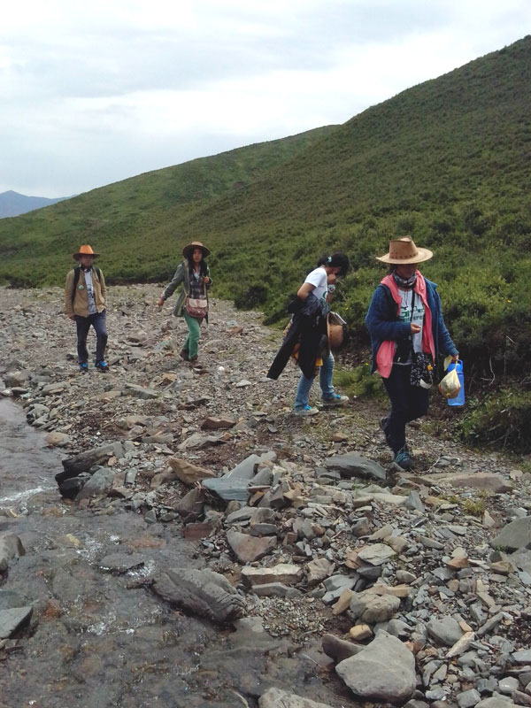 7��22�����m�ݴ�W(xu��)�Gɫ�I(y��ng)�F(tu��n)�(du��)�������c(di��n)����?q��)����{(di��o)�����(du��)�T����(du��)��(d��ng)?sh��)ص��Ρ����f�ֲ����݈�(ch��ng)��r������ι�B(y��ng)���h(hu��n)��׃���ȷ����M(j��n)���˴��µ��˽����D���(du��)�T��?c��)ڮ?d��ng)?sh��)��M(j��n)��ֲ����R(sh��)������