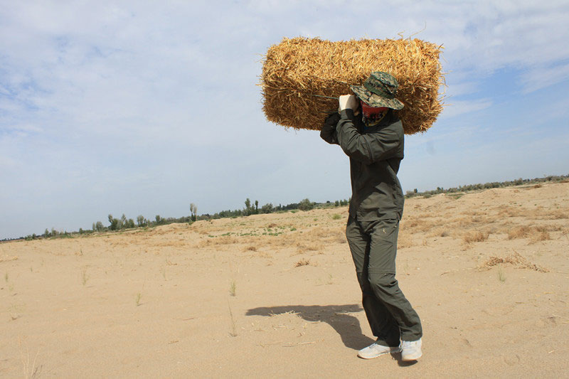 �F�T���i�������������ϳ����������������؟����