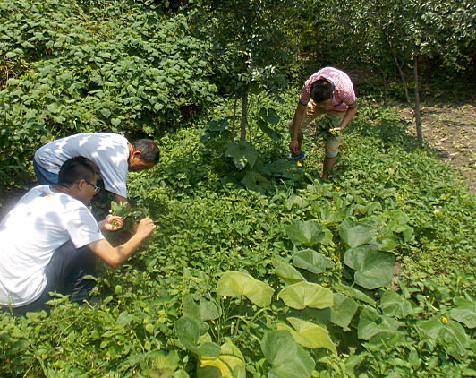 �ڶ��죬�(du��)�T���_ʼ�������B(t��i)�r(n��ng)��(ch��ng)�w�(y��n)�r(n��ng)��������������ժ����