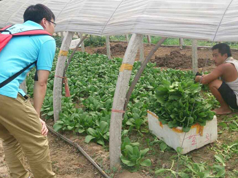 ���`꠆T�c��?sh��)��r(n��ng)��e�O��ͨ������������}���˽��߲˴�������P��r��