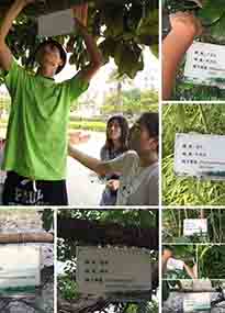 �K���r(n��ng)�W(xu��)Ժ�O(sh��)ӋУ�@ֲ����Ƭ�������K�r(n��ng)�Gɫ���}