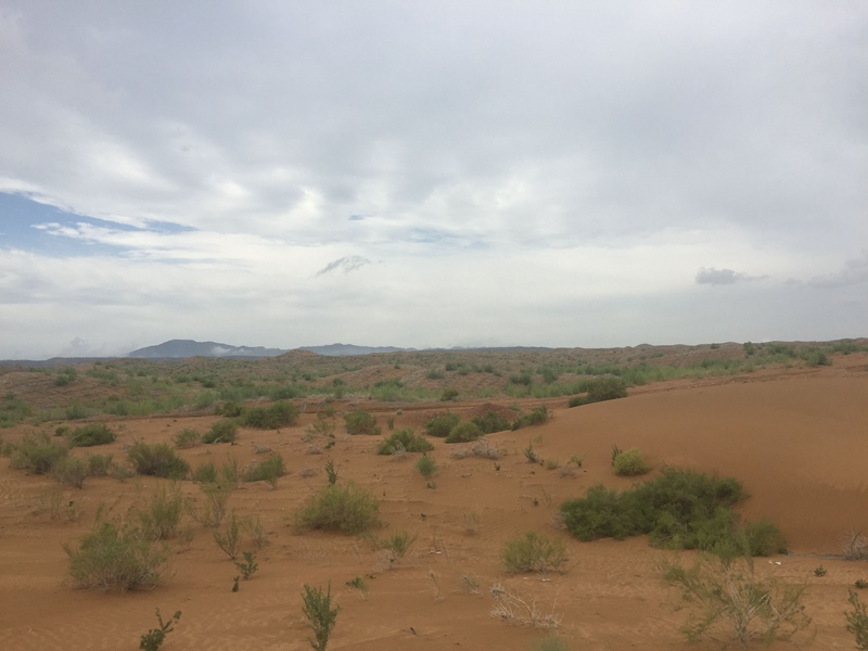 �v����ɳĮ�޾W(w��ng)������ݷ����ﲼ�M�[�d��ɳ��ֲ����