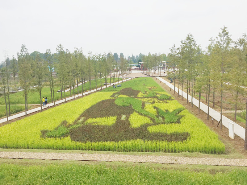 ������L�������������zӰ����־�ۣ�