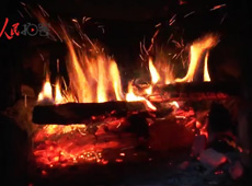 �t��t����~�ף�������ʳ���ρ�