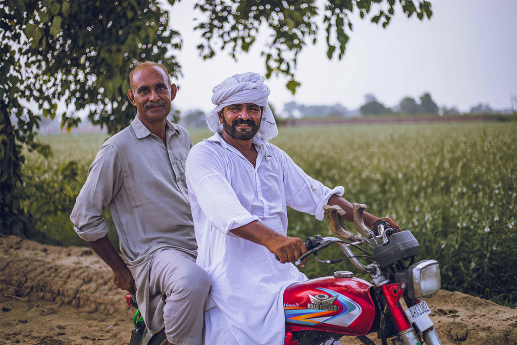芝麻種植基地給當(dāng)?shù)厝藥砀嗑蜆I(yè)機(jī)會。（人民網(wǎng)記者 薛丹攝）