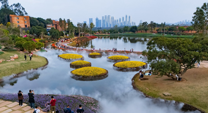 廣西南寧：踏青賞花 樂享假日